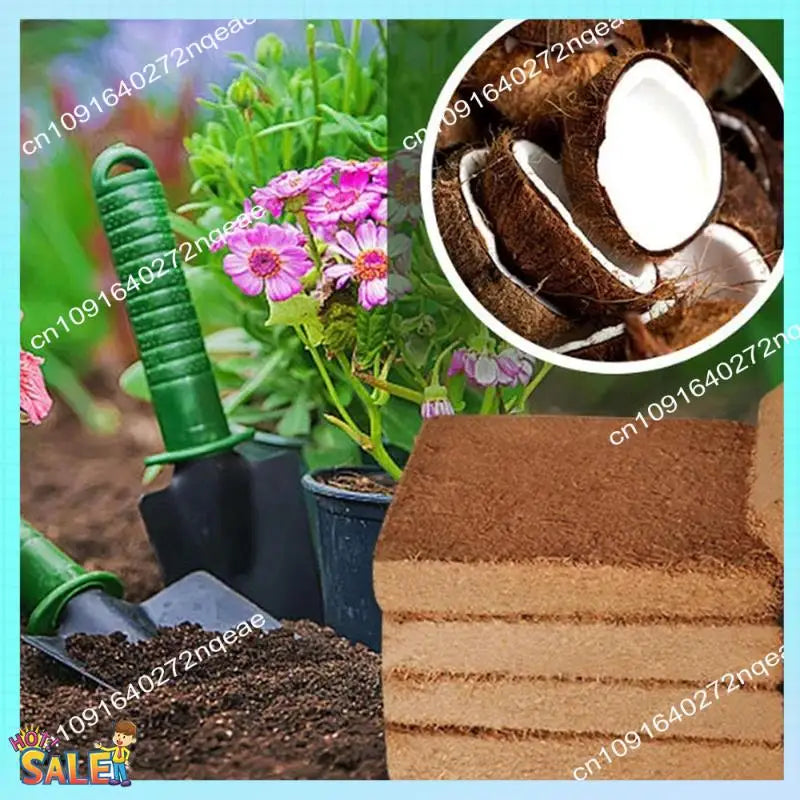 N08R 6Pcs Organic Coconut Fiber For Plants, Organic Coconut Bricks, Natural Organic Compressed Coconut Durable Easy To Use