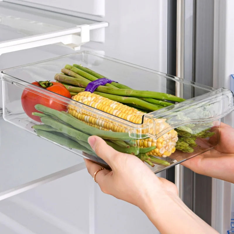 Kitchen Storage Box Fruit Vegetable Preservation Organizer Transparent Egg Container Under-shelf Refrigerator Drawer