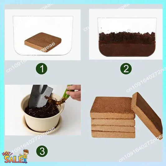 N08R 6Pcs Organic Coconut Fiber For Plants, Organic Coconut Bricks, Natural Organic Compressed Coconut Durable Easy To Use