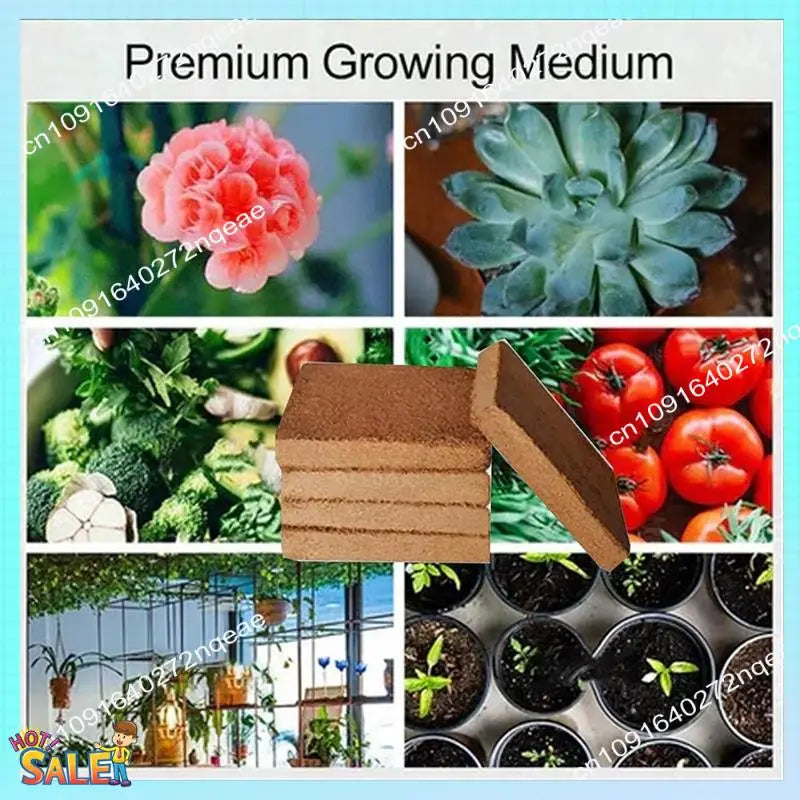N08R 6Pcs Organic Coconut Fiber For Plants, Organic Coconut Bricks, Natural Organic Compressed Coconut Durable Easy To Use